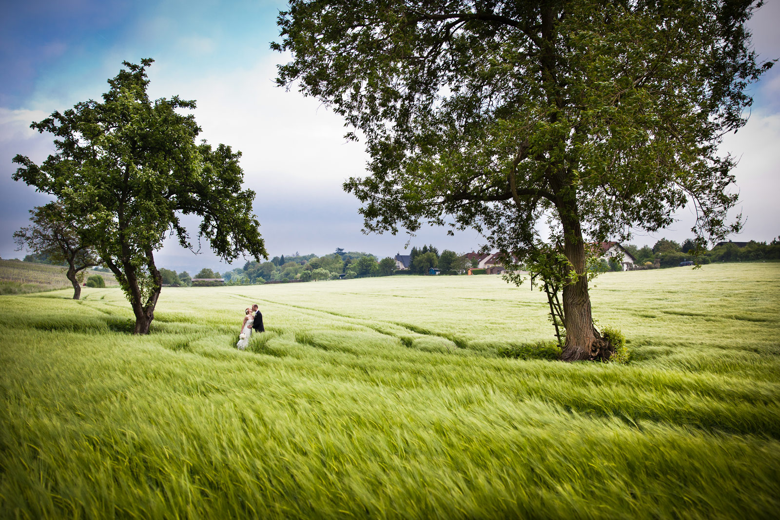 Brautpaar im Feld 